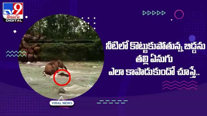 తల్లి ప్రేమ అంటే ఇలానే ఉంటది !! నీటిలో కొట్టుకుపోతున్న బిడ్డను ఎలా కాపాడుకుందో చూస్తే.. తల్లి ప్రేమ అంటే ఇలానే ఉంటది !! నీటిలో కొట్టుకుపోతున్న బిడ్డను ఎలా కాపాడుకుందో చూస్తే..