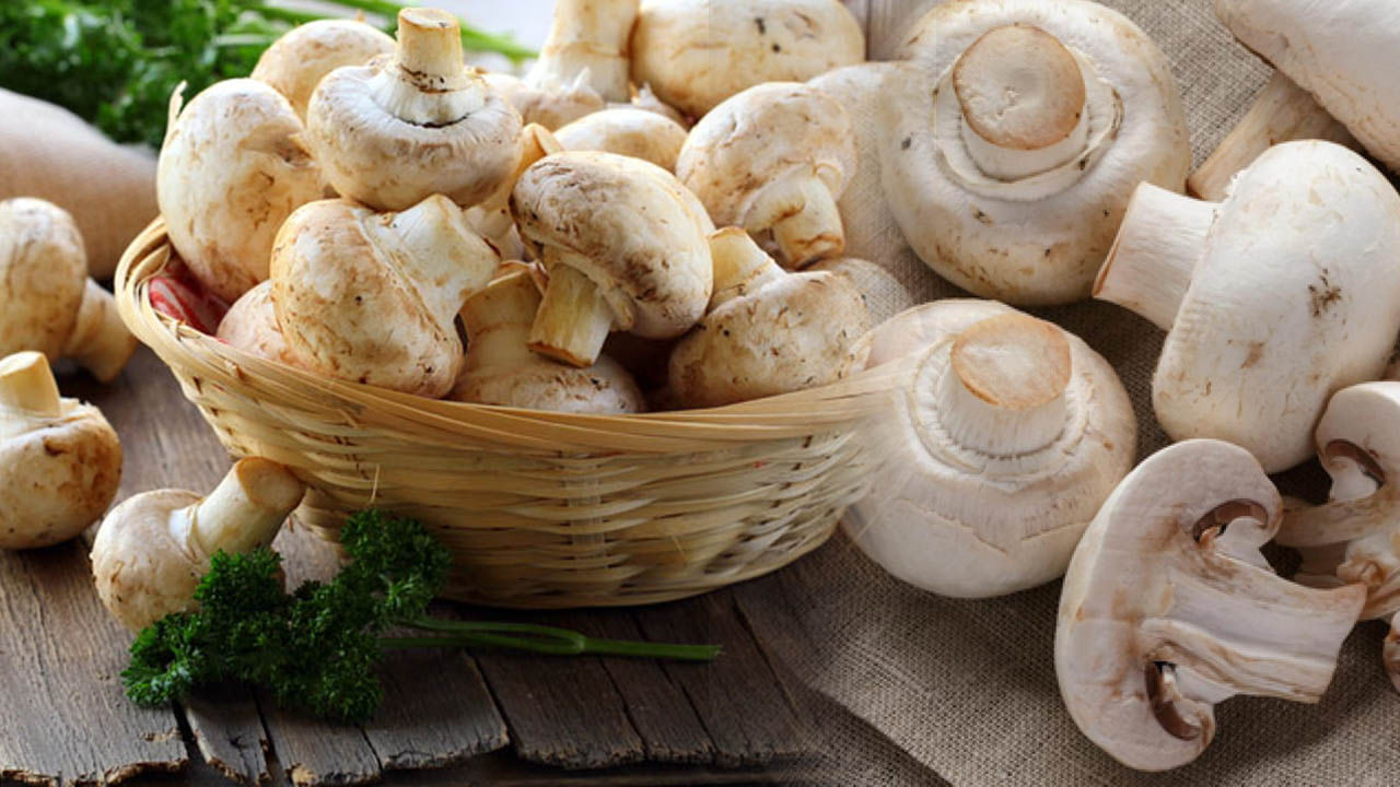Mushrooms Beneficial: పుట్టగొడుగులు ఆరోగ్యానికి దివ్యౌషధం.. అనేక ప్రయోజనాలు