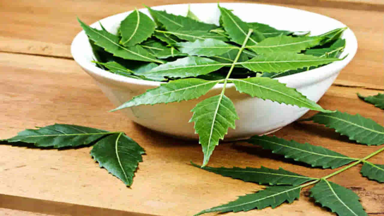 Neem Health Benefits: వేపతో అదిరిపోయే ప్రయోజనాలు.. రోగనిరోధక శక్తిని బలోపేతం చేయడానికి అద్భుతమైన ఔషధం..!