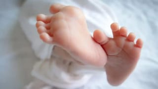 Model gaushala: దేశంలోనే తొలి మోడల్ గోశాల.. సోలార్ ప్లాంట్ నుండి బయోగ్యాస్ ప్లాంట్ వరకు, మరెన్నో..