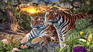 Mastercard: ఆర్బీఐ గుడ్‌న్యూస్‌.. ఆ ఆంక్షలు ఎత్తివేత.. కొత్త కార్డులు జారీ చేసుకోవచ్చు..!