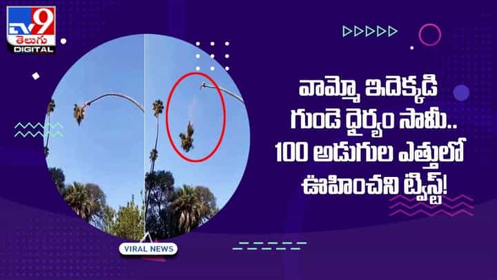 వామ్మో ఇదెక్కడి గుండె ధైర్యం సామీ.. 100 అడుగుల ఎత్తులో ఊహించని ట్విస్ట్ !! వామ్మో ఇదెక్కడి గుండె ధైర్యం సామీ.. 100 అడుగుల ఎత్తులో ఊహించని ట్విస్ట్ !!