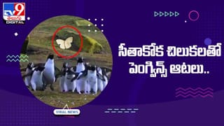 లోకంలో మానవత్వం ఇంకా మిగిలే ఉంది.. సందేహముంటే ఈ Viral Video చూసేయండి