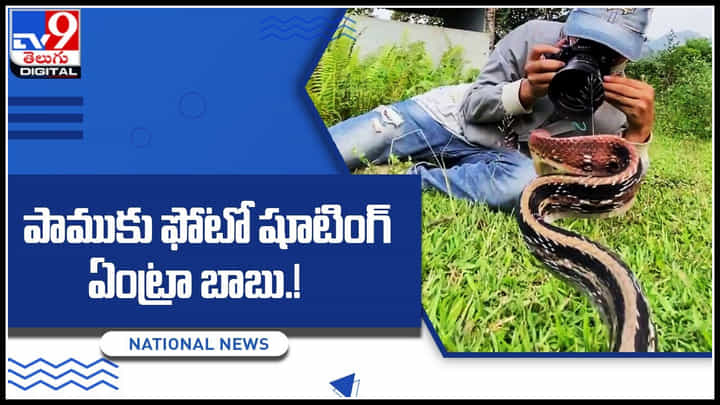 Snake Photo shoot: ఓరి మీ దుంప తెగ.! పాముకు ఫోటో షూటింగ్ ఏంట్రా బాబు.! ట్రెండ్ అవుతున్న వీడియో.. Snake Photo shoot: ఓరి మీ దుంప తెగ.! పాముకు ఫోటో షూటింగ్ ఏంట్రా బాబు.! ట్రెండ్ అవుతున్న వీడియో..