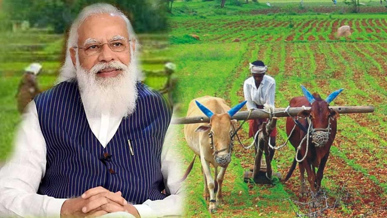 PM Kisan: రైతులకు అలర్ట్.. భార్యభర్తలిద్దరికీ పీఎం కిసాన్ ప్రయోజనాలు పొందవచ్చా ?.. మారిన రూల్స్ తెలుసుకున్నారా ?..