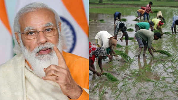 PM Kisan: రైతులకు అలర్ట్.. పీఎం కిసాన్ డబ్బులు రావాలంటే ఇకపై ఆ డాక్యూమెంట్ ఉండాల్సిందే.. కొత్త రూల్స్ తెలుసుకోండి..