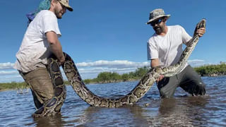 Viral video: అచ్చం మనిషిలాగే సిగరెట్‌ తాగిన ఒరెంగుటాన్‌.. వైరల్ వీడియోపై మండిపడుతున్న యానిమల్‌ లవర్స్..