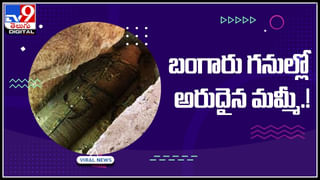 Dog Playing: తిండి పెడితే ఇది కాదు.. ఇంతకు మించి గేమ్ గెలిచి చూపిస్తా.. స్మార్ట్‌ డాగ్‌ వీడియో వైరల్‌