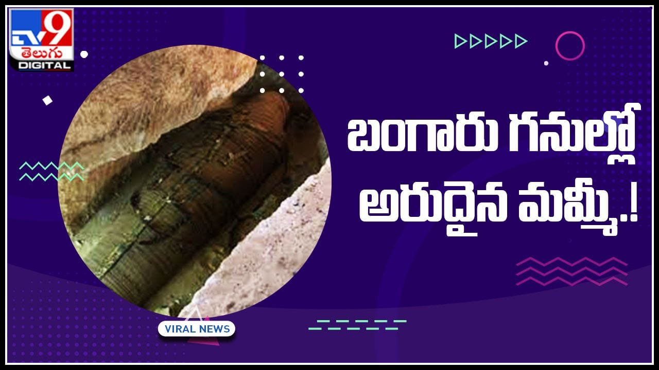 Mammy In Gold Mine: బంగారు గనుల్లో అరుదైన మమ్మీ.! చూసి షాక్ లోనే వర్కర్స్.. వైరల్ అవుతున్న వీడియో..