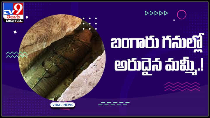 Mammy In Gold Mine: బంగారు గనుల్లో అరుదైన మమ్మీ.! చూసి షాక్ లోనే వర్కర్స్.. వైరల్ అవుతున్న వీడియో.. Mammy In Gold Mine: బంగారు గనుల్లో అరుదైన మమ్మీ.! చూసి షాక్ లోనే వర్కర్స్.. వైరల్ అవుతున్న వీడియో..