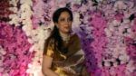 Maha Crisis: రంగంలోకి దిగిన ఉద్ధవ్‌ సతీమణి రష్మీ థాక్రే.. అసమ్మతి ఎమ్మెల్యేల  భార్యలతో చర్చలు..