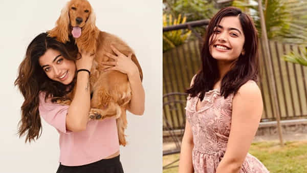 Rashmika Mandanna:పెట్డాగ్ కోసం ఫ్లైట్ టికెట్స్ డిమాండ్ చేసిన నేషనల్ క్రష్.. మరి శ్రీవల్లి స్పందనేంటో తెలుసా?