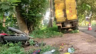 Tirupati District: మేత తినేందుకు యత్నించిన గేదె.. ఒక్కసారిగా భారీ శబ్ధం.. పాపం స్పాట్‌లోనే