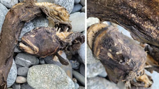 Viral: ఆడు మగాడ్రా బుజ్జి.. లవర్‌తో ‘బ్రేకప్’ బిల్లు ఎంత కట్టించిండో తెలిస్తే షాకే!