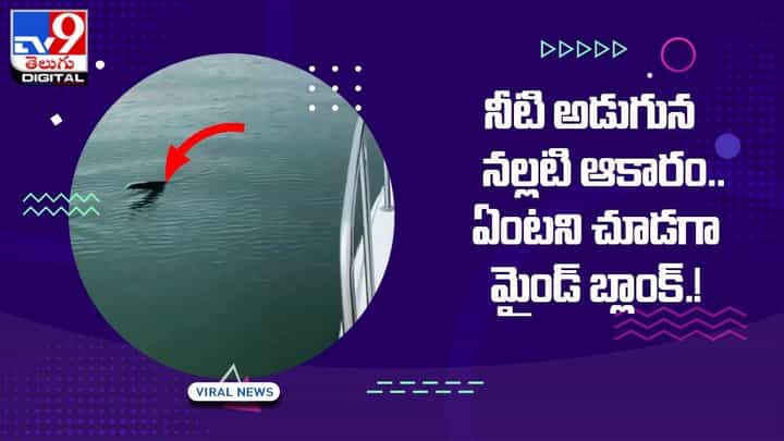 నీటి అడుగున భారీ నల్లటి ఆకారం.. ఏంటని చూడగా మైండ్ బ్లాంక్ నీటి అడుగున భారీ నల్లటి ఆకారం.. ఏంటని చూడగా మైండ్ బ్లాంక్