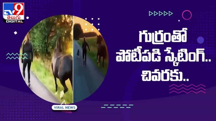 గుర్రంతో పోటీపడి మరీ స్కేటింగ్.. చివరకు ?? నెట్టింట వైరల్ అవుతున్న సూపర్ వీడియో గుర్రంతో పోటీపడి మరీ స్కేటింగ్.. చివరకు ?? నెట్టింట వైరల్ అవుతున్న సూపర్ వీడియో