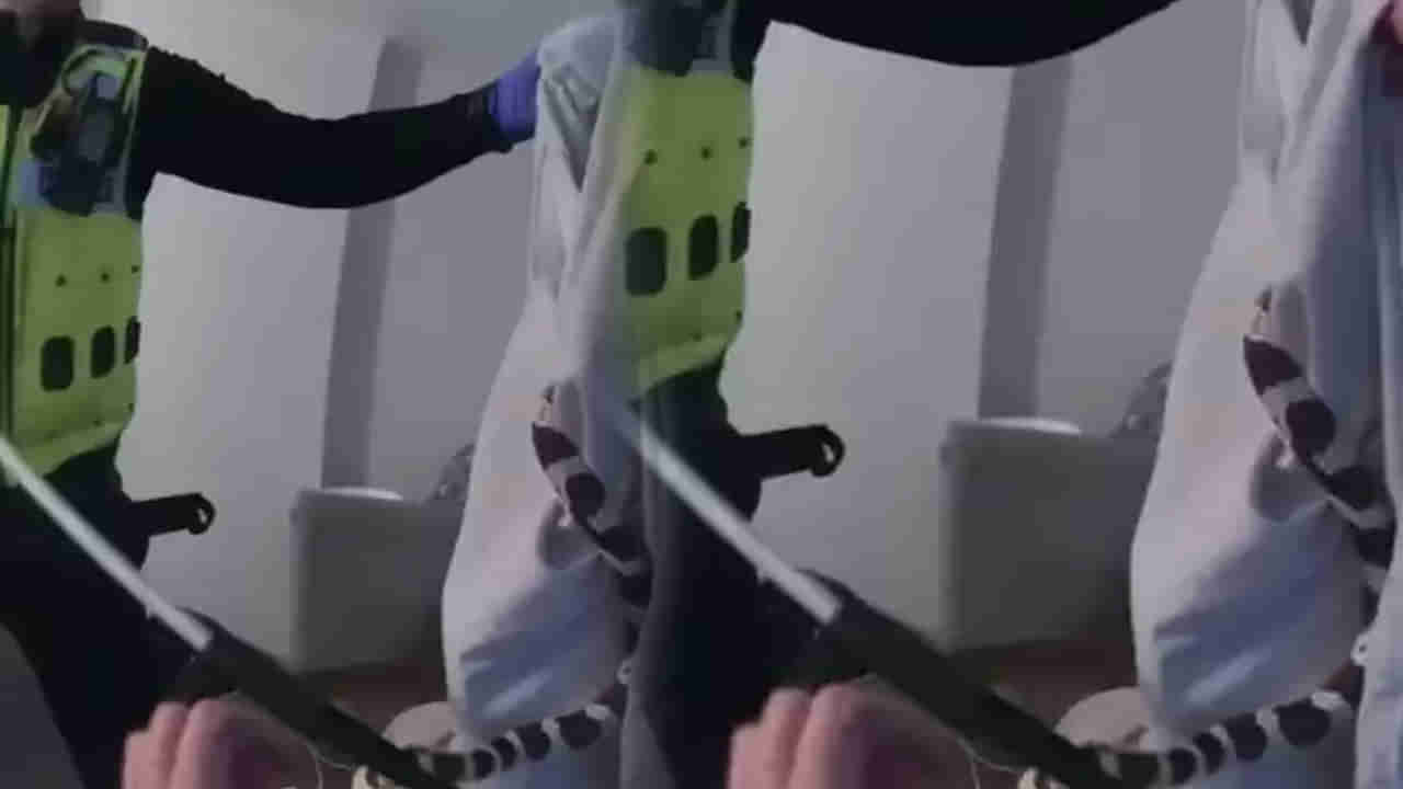 Viral: అందరూ కులాసాగా టీవీ చూస్తుంటే.. ఒక్కసారిగా దూసుకొచ్చిన అనుకోని అతిధి..