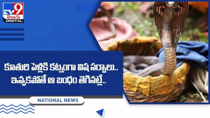 కూతురి పెళ్లికి కట్నంగా విష సర్పాలు.. ఇవ్వకపోతే ఆ బంధం తెగినట్లే !! కూతురి పెళ్లికి కట్నంగా విష సర్పాలు.. ఇవ్వకపోతే ఆ బంధం తెగినట్లే !!