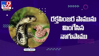 వరుడు చేసిన చిలిపి దొంగతనం.. చిర్రెత్తిపోయిన వధువు ఏం చేసిందో తెలుసా ??