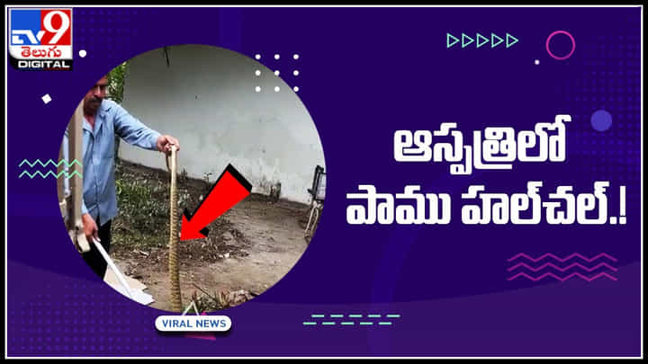 Snake: ఆస్పత్రిలో పాము హల్చల్.! ఆమ్మో ఎంత పెద్ద పామో.. వైరల్ అవుతున్న వీడియో.. Snake: ఆస్పత్రిలో పాము హల్చల్.! ఆమ్మో ఎంత పెద్ద పామో.. వైరల్ అవుతున్న వీడియో..