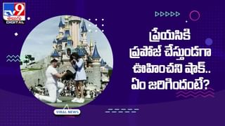 Viral Video: నాముందే డాన్స్‌ వేస్తావా ?? యువతికి షాకిచ్చిన కోడెదూడ !!