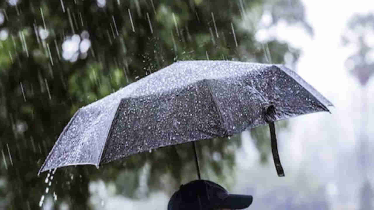 Monsoon Updates: ఉరుములు, మెరుపులతో కూడిన వర్షాలు.. మంగళవారం సాయంత్రానికి ఏపీలోకి నైరుతి రుతుపవనాలు