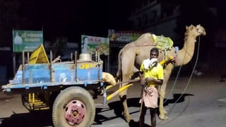 Viral Video: ఇదేందిరయ్యా.. పాములతో ఇలా నిద్రపోతారా.. వీడియో చూస్తే షాకవుతారంతే?