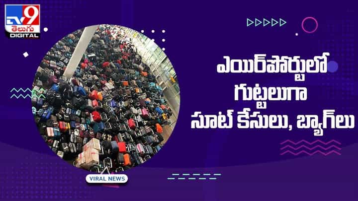 ఎయిర్పోర్టులో గుట్టలుగా సూట్ కేసులు, బ్యాగ్లు.. ఏది ఎవరిదో తెలుసుకోవడానికి వారం పట్టుంది ఎయిర్పోర్టులో గుట్టలుగా సూట్ కేసులు, బ్యాగ్లు.. ఏది ఎవరిదో తెలుసుకోవడానికి వారం పట్టుంది