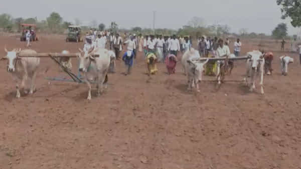 Telangana: రైతు కోసం ఊరు ఊరంతా కదిలింది.. కబ్జాకు గురైన భూమిలో మూకుమ్మడిగా దుక్కులు