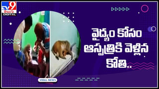 Viral Video: వరుడు లేని పెళ్లి.. తనను తానే వివాహం చేసుకున్న క్షమా.! వీడియో చుస్తే ఫ్యూజులు అవుటే..