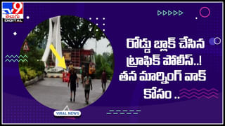 Frogs Viral Video: రష్యాపై యుద్ధానికి కప్పల సైన్యం రెడీ.! ఇదంతా చేసింది ఎవరో తెలుసా..?