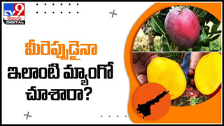 Mentally handicapped: మానసిక వికలాంగుడి ప్రాణం తీసిన గ్రామపెద్దల నిర్వాకం..! ఎటు పోతుందో సమాజం..