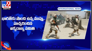 Buffalo: విచిత్ర కేసు.. గేదెకు డీఎన్‌ఏ టెస్టు! ఎందుకో తెలిస్తే ఫ్యూజులౌట్..