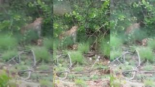 Lord Shiva: శివయ్య అనుగ్రహం పొందడానికి కొన్ని నియమాలున్నాయి. సోమవారం ఏ విధంగా పూజించాలంటే..