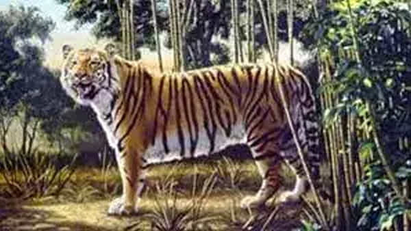 Viral Photo: మీ కళ్లకు ఓ పరీక్ష.. ఈ ఫోటోలో దాగున్న పులిని గుర్తించండి.. 99% ఫెయిల్!