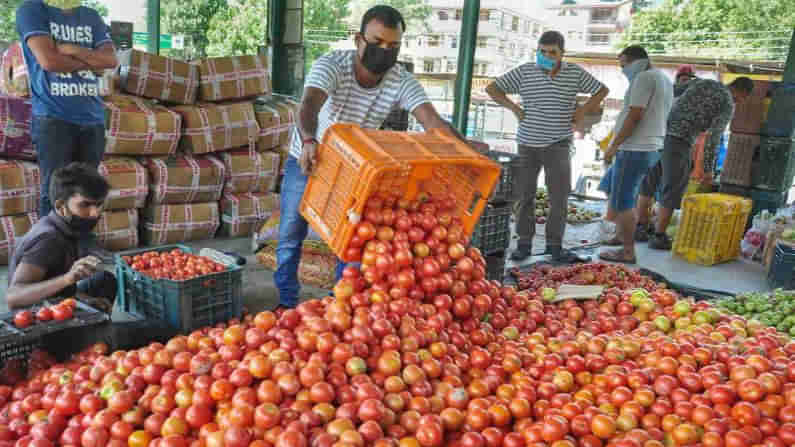 Tomato Price: పరుగులు పెడుతున్న టమాట ధర.. కిలో 100 రూపాయలు.. ఎక్కడంటే..!