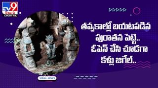 Viral: అందరూ కులాసాగా టీవీ చూస్తుంటే.. ఒక్కసారిగా దూసుకొచ్చిన అనుకోని అతిధి..