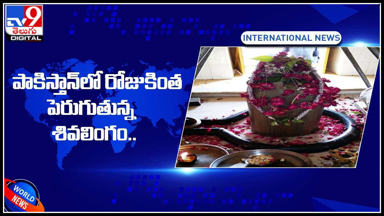 Shiva lingam: ముస్లిం పాలకుల కాలంలో ఉమర్‌కోట్‌గా మారిన అమర్‌కోట్‌.. రోజురోజుకీ పెరుగుతున్న శివలింగం..