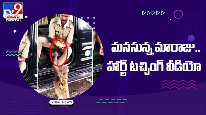 కానిస్టేబుల్ మానవత్వం చూసి.. మనసున్న మా రాజు అంటున్న నెటిజెన్స్.. మనసును హత్తుకుంటున్న వీడియో కానిస్టేబుల్ మానవత్వం చూసి.. మనసున్న మా రాజు అంటున్న నెటిజెన్స్.. మనసును హత్తుకుంటున్న వీడియో