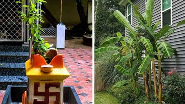 Vastu Tips: ఇంట్లో అరటి చెట్టును పెంచుకోవాలను కుంటుకుంటున్నారా.. వాస్తు నియమాలు మీ కోసం..