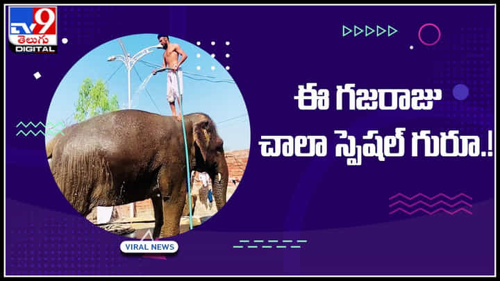 Special Elephant: ఈ గజరాజు చాలా స్పెషల్ గురూ.! ఈ వీడియో చూస్తే మీరు అవును అనాల్సిందే..! Special Elephant: ఈ గజరాజు చాలా స్పెషల్ గురూ.! ఈ వీడియో చూస్తే మీరు అవును అనాల్సిందే..!