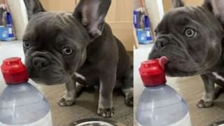 Taj Mahal: తడియారని కన్నీటి బొట్టుగా తప్పుదోవపట్టిన తాజ్ మహల్‌ అసలు కథ! చరిత్ర విప్పి చెప్పని వాస్తవాలు..!