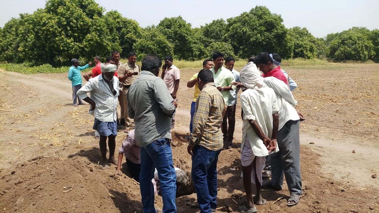 మాజీ ఎమ్మెల్యే మామిడితోటలో గుప్తనిధుల తవ్వకాలు..! క్షుద్రపూజల కలకలం