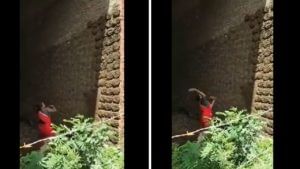 Viral Video: గురి చూసిందంటే తప్పేదేలే.. మహిళ టాలెంట్‌కు నెటిజన్స్ ఫిదా.. ఎందుకో తెలుసా?