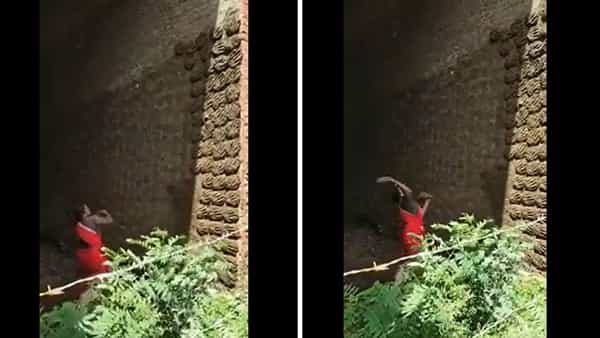 Viral Video: గురి చూసిందంటే తప్పేదేలే.. మహిళ టాలెంట్కు నెటిజన్స్ ఫిదా.. ఎందుకో తెలుసా?