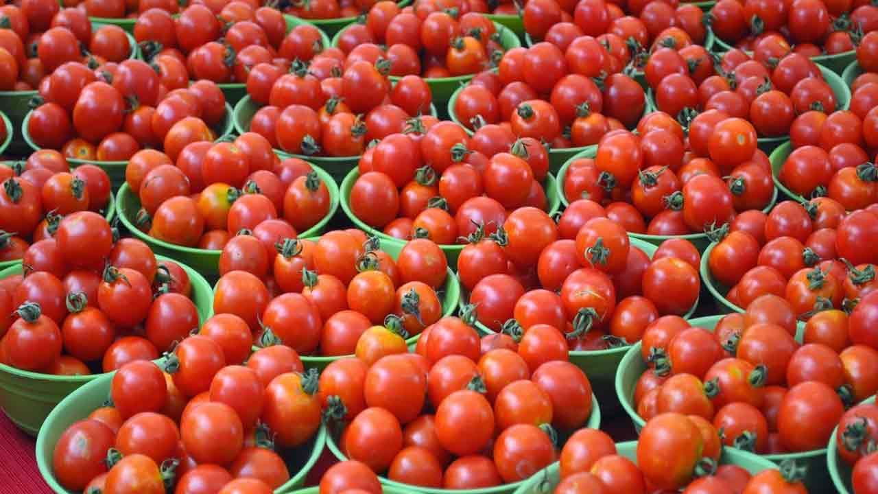 World Without Tomatoes: ఓహ్ మై గాడ్.. టమాటా లేని ప్రపంచాన్ని చూడబోతున్నామా..