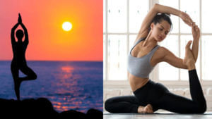 Yoga and Meditation: యోగా-ధ్యానం మధ్య వ్యత్యాసం ఏంటో మీకు తెలుసా.? రెండు ఒకదానికొకటి భిన్నంగా..