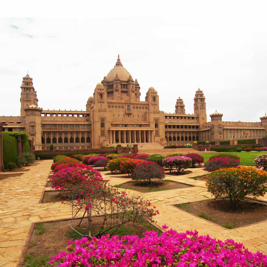 Umaid Bhawan Palace: దేశంలో రకరకాల చారితాత్మక కట్టడాలు ఎన్నో ఉన్నాయి. అలాంటి కట్టడాలకు ఎంతో చరిత్ర ఉంటుంది. ఇక దేశంలోని రాజస్థాన్కు ప్రత్యేక స్థానం ఉంది. అనేక కళలతో నిండిన రాజస్థాన్లో అందమైన రాజభవనాలు, గొప్ప కోటలు, కోటలతో సహా హవేలీలకు ప్రపంచవ్యాప్తంగా ప్రసిద్ధి చెందింది.