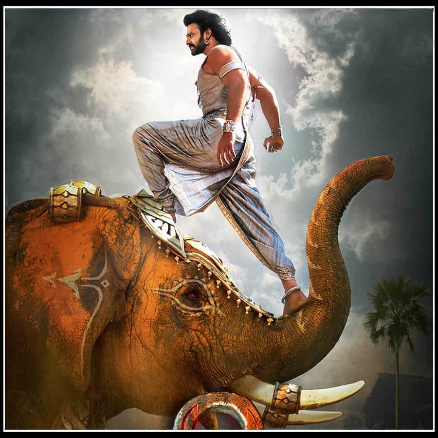 తన తండ్రి రాజేంద్ర ప్రసాద్ రాసిన స్టోరీతో పాన్ ఇండియా రేంజ్ లో అత్యంత ఎక్కువ బడ్జెట్ తో ఈ సినిమా తెరకెక్కించాలని అనుకున్నారు.