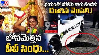 Viral Video: ప్రమాదకరమైన కింగ్‌ కోబ్రాకు డ్రింకింగ్‌ వాటర్‌.. వీడియో చూసి షాకవుతున్న నెటిజన్లు